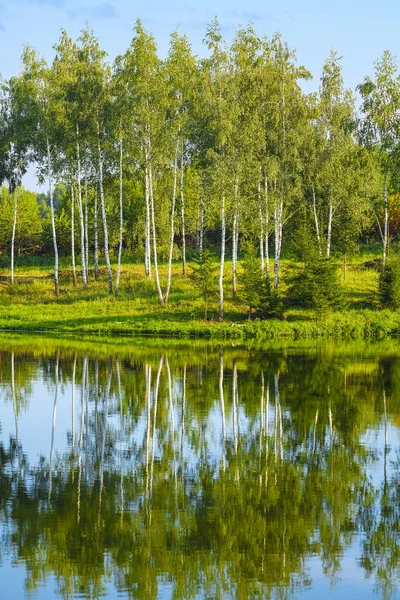 Ξύλο Μια Όχθη Της Λίμνης Στην Περιοχή Της Μόσχας Ρωσία — Φωτογραφία Αρχείου
