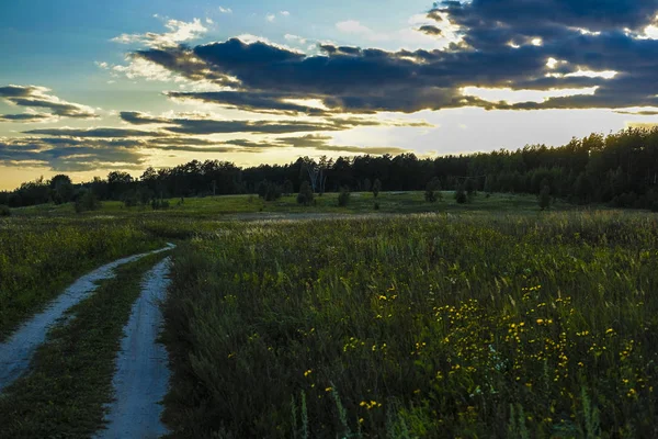 Landscape Image Meadow Sunset — Stock Photo, Image