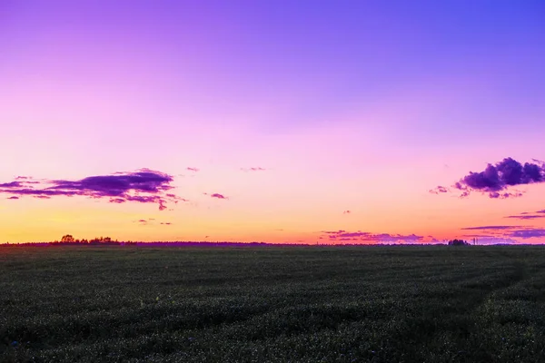 Landskapet Med Bilden Ängen Vid Solnedgången — Stockfoto