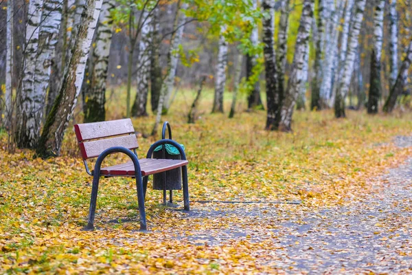 Autumn landscape with bench in the forest