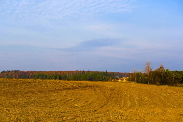 Landschap Met Het Beeld Van Herfst Russische Landzijde — Stockfoto
