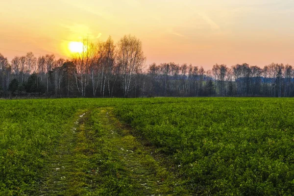 Landschap Met Het Beeld Van Herfst Russische Landzijde — Stockfoto