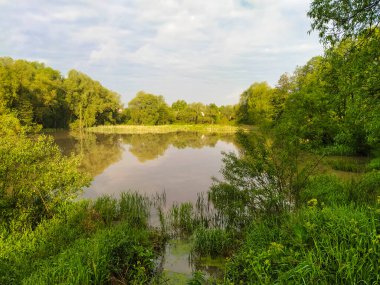 Nehrin üzerinde sabah görüntüsü olan manzara.
