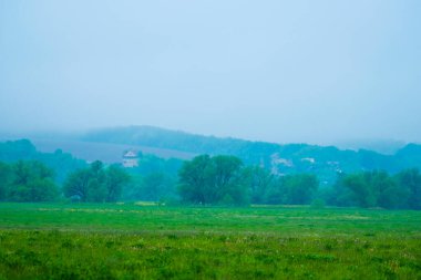 Uzakta orman ve tarla manzarası