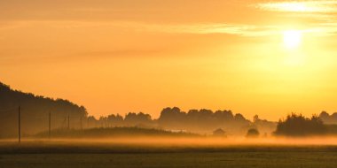 Yazın gün batımında bir tarlada elektrik hattı görüntüsü