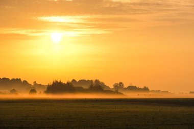 Gün batımında bir yaz tarlası olan manzara