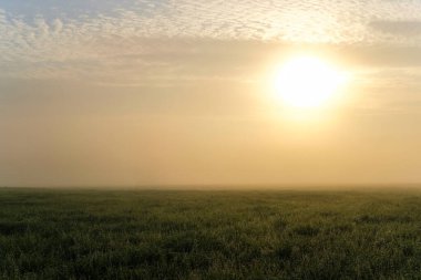Gün batımında bir yaz tarlası olan manzara
