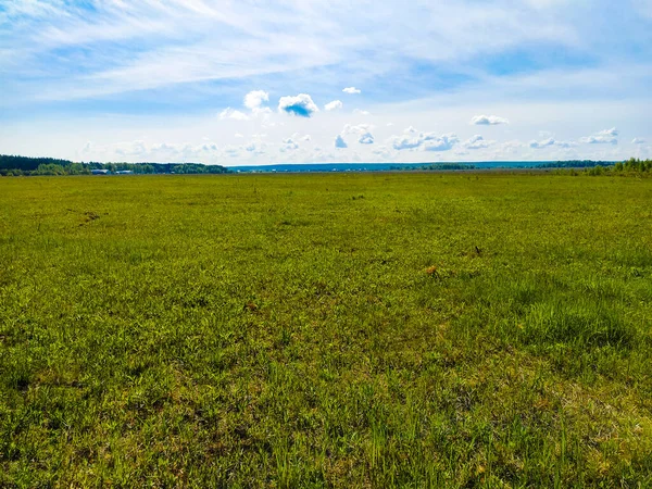 Beeld Van Een Zomer Veld Morgen — Stockfoto