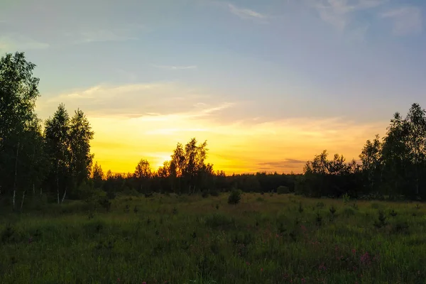 Krajina Letním Polem Při Západu Slunce — Stock fotografie