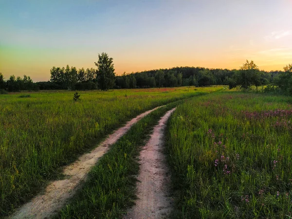 Beeld Van Een Landweg Een Veld — Stockfoto