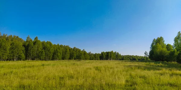 Obrázek Letního Pole Dopoledních Hodinách — Stock fotografie