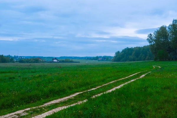 Beeld Van Een Landweg Het Voorjaar Regen — Stockfoto