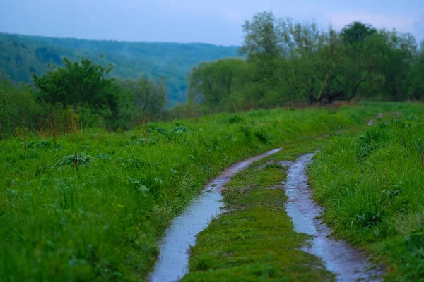 Beeld Van Een Landweg Het Voorjaar Regen — Stockfoto