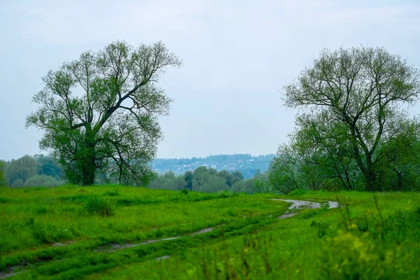 Landschap Met Veld Bos Verte — Stockfoto