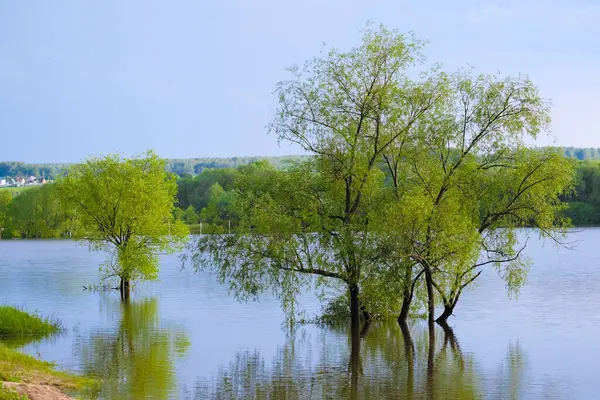 Paisaje Con Imagen Mañana Sobre Río — Foto de Stock