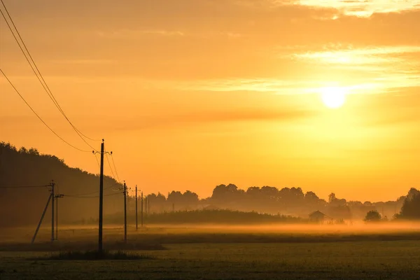 Image Power Line Field Sunset Summer — Stock Photo, Image