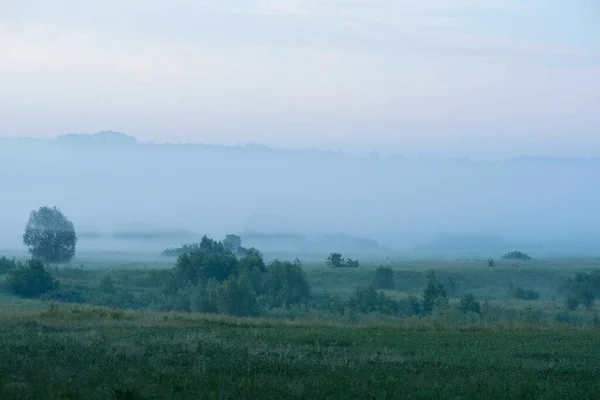 Landschap Met Een Zomerveld Bij Zonsondergang — Stockfoto