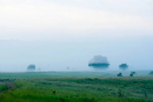 Krajina Letním Polem Při Západu Slunce — Stock fotografie