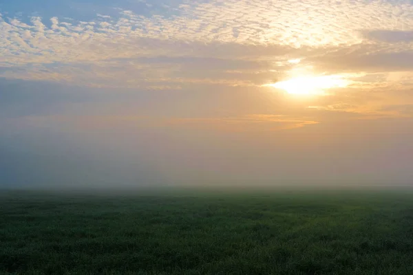 Paysage Avec Champ Été Coucher Soleil — Photo