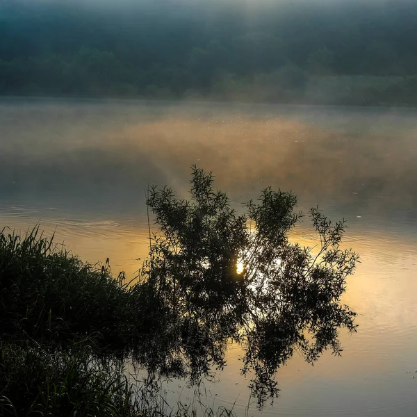 Landschaft Mit Dem Bild Des Morgens Über Dem Fluss — Stockfoto