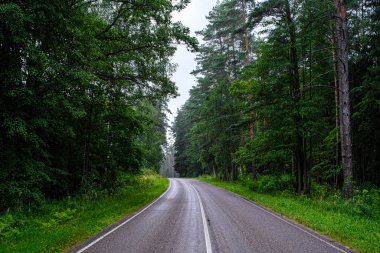 Bir kır yolu görüntüsüyle manzara