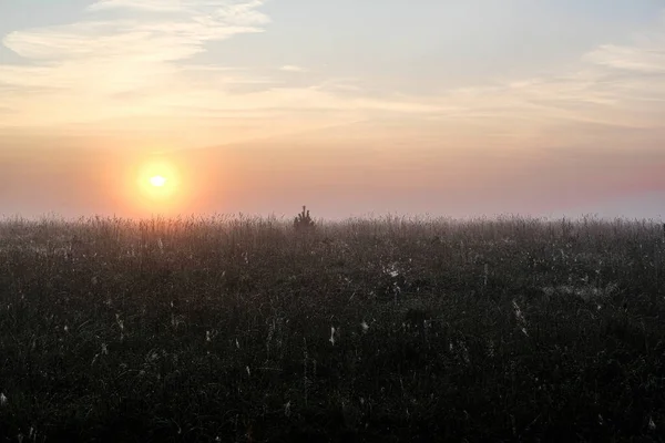 Bild Von Morgendämmerung Und Nebel Über Einem Herbstlichen Feld — Stockfoto