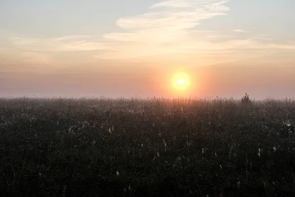 Hajnal Köd Képe Egy Őszi Mezőn — Stock Fotó