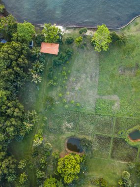 Yaz sıcacık güneş ışığı orman hava manzarası