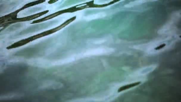 Primo piano della superficie blu disturbata dell'acqua dell'oceano — Video Stock