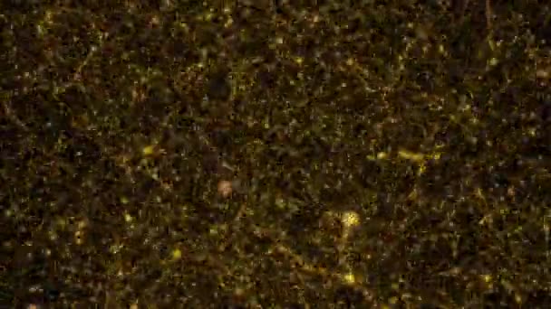 Abstrakter Bewegungshintergrund, glänzende Goldpartikel. Glitzernde Teilchen mit Bokeh. — Stockvideo