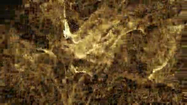 Partículas de oro en movimiento simulando una ventisca dorada — Vídeo de stock