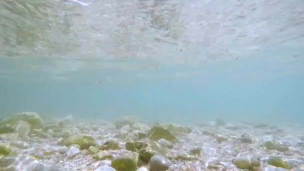 太陽光線は水中でビームします。ターコイズブルーの海の生態系と海底の水中ショット. — ストック動画