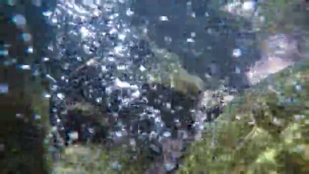 Rayons de soleil rayons de soleil sous l'eau. Plan sous-marin de l'écosystème et du fond océanique dans l'océan turquoise.