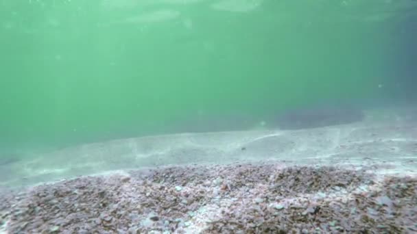Сонячні промені сонячні промені під водою. Підводний знімок екосистеми і океанської підлоги в бірюзовому океані . — стокове відео