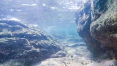 Güneş ışınları su altında ışıldar. Turkuaz okyanustaki ekosistem ve okyanus tabanının sualtı görüntüsü..