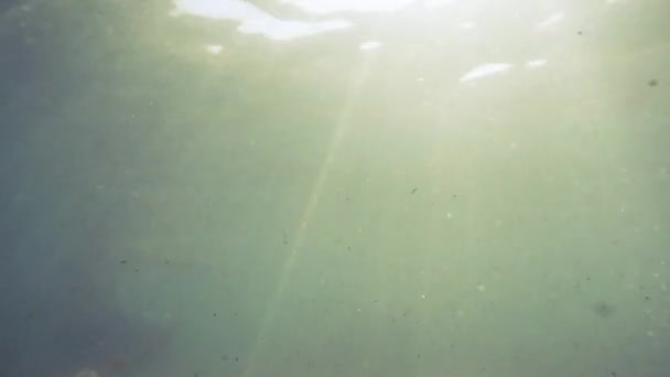 Rayos de sol rayos de sol bajo el agua. Inyección submarina de ecosistema y fondo oceánico en océano turquesa. — Vídeos de Stock