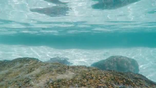 Słońce promieni słonecznych pod wodą. Podwodne ujęcie ekosystemu i dna oceanu w turkusowym oceanie. — Wideo stockowe