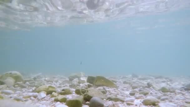 Raggi di sole raggi di sole sott'acqua. Colpo subacqueo di ecosistema e fondo oceanico nell'oceano turchese. — Video Stock