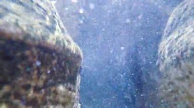 Güneş ışınları su altında ışıldar. Turkuaz okyanustaki ekosistem ve okyanus tabanının sualtı görüntüsü..