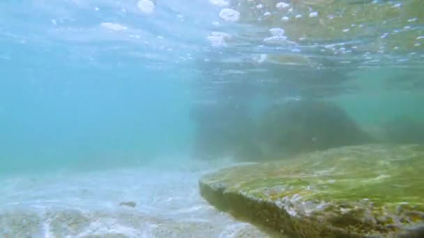 Sinar matahari menyinari di bawah air. Gambar bawah air ekosistem dan dasar laut di laut pirus. — Stok Video