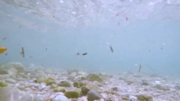 Raggi di sole raggi di sole sott'acqua. Colpo subacqueo di ecosistema e fondo oceanico nell'oceano turchese. — Video Stock