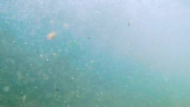 Rayos de sol rayos de sol bajo el agua. Inyección submarina de ecosistema y fondo oceánico en océano turquesa. — Vídeo de stock