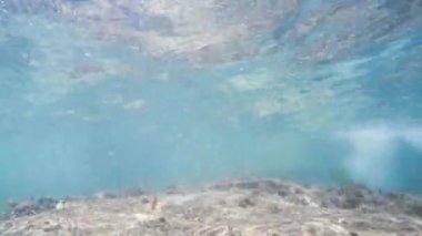 Güneş ışınları su altında ışıldar. Turkuaz okyanustaki ekosistem ve okyanus tabanının sualtı görüntüsü..