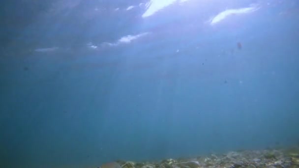 Sonnenstrahlen Sonnenstrahlen strahlen unter Wasser. Unterwasseraufnahme von Ökosystem und Meeresboden im türkisfarbenen Ozean. — Stockvideo