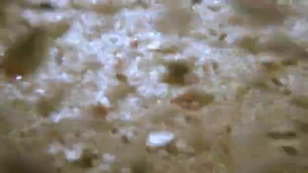 Sluneční paprsky pod vodou. Podvodní záběr ekosystému a dna oceánu v tyrkysovém oceánu. — Stock video