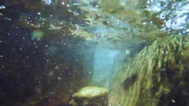 태양 광선이 물 속에서 비추고 있다. 청록색 바다에서 생태계 와바 다 밑바닥의 해저 사진. — 비디오