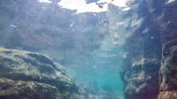 Raggi di sole raggi di sole sott'acqua. Colpo subacqueo di ecosistema e fondo oceanico nell'oceano turchese. — Video Stock