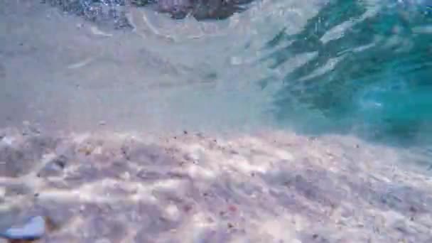 Sun rays sun beams underwater. Underwater shot of ecosystem and ocean floor in turquoise ocean. — Stock Video