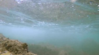 Güneş ışınları su altında ışıldar. Turkuaz okyanustaki ekosistem ve okyanus tabanının sualtı görüntüsü..