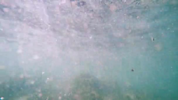 Sinar matahari menyinari di bawah air. Gambar bawah air ekosistem dan dasar laut di laut pirus. — Stok Video